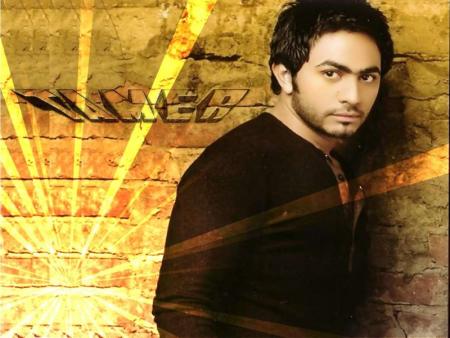 tamer