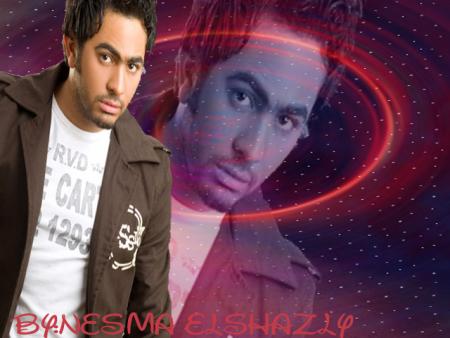 tamer