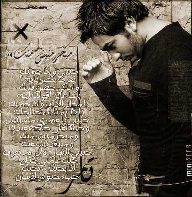 tamer l amoooor
